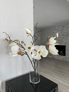 Afloral.com Silk Magnolia in Cream White - 19 Review