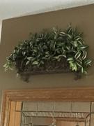 Afloral.com Small Variegated Faux Wandering Jew Hanging Bush - 12 Long Review