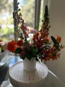 Native Poppy Petite Arranged Flowers Review