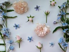 Native Poppy Grand Arranged Flowers Review