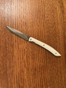 JapaneseChefsKnife.Com Takeshi Saji R-2 Damascus Steak Knife (White G-10 Handle) Review
