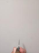 JapaneseChefsKnife.Com Fu-Rin-Ka-Zan Aogami Super Wa Series Wa Gyuto 210mm (8.2 inch, D Shaped Magnolia Wooden Handle, FAS-1D) Review
