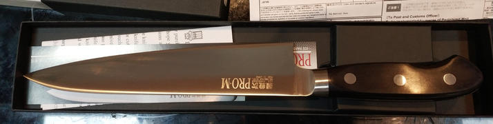 JapaneseChefsKnife.Com Kanetsugu Pro M Series Gyuto (180mm to 270mm, 4 sizes) Review