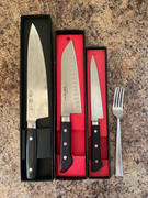 JapaneseChefsKnife.Com Kanetsugu Saiun Series Gyuto (200m and 230mm, 2 sizes) Review