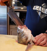 JapaneseChefsKnife.Com Hattori Forums FH Series Western Deba (165mm and 240mm, Cocobolo Wood Handle) Review
