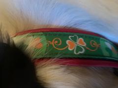 Sexy Beast Dog Collars Luck Of The Irish Review