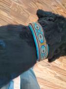 Sexy Beast Dog Collars SBDC  Blue Persian Deluxe Review