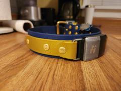 Sexy Beast Dog Collars Lakeside 1.5 Buckle Collar For Fi GPS Trackers Review