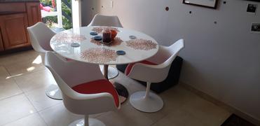 Modholic Tulip Arm Chair, White Review