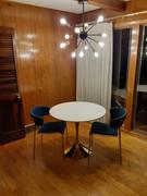 Modholic Tulip Dining Table 36 Wood Top & Gold Base Review