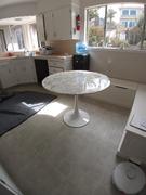 Modholic Tulip 32 Marble Dining Table & Chairs Set Review