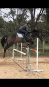 Equestrian Collective Honeycomb Technical Tights: Navy Review