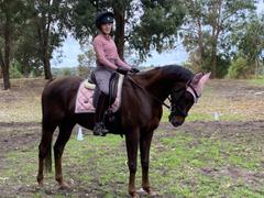 Equestrian Collective Mesh Base Layer: Rose Quartz Review
