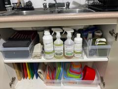 envirocare earth Dish Wash Liquid LEMON + LIME Review