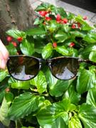 Solbari Sun Protection Portsea Polarized Sunglasses Review