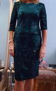 Pretty Kitty Fashion Emerald Green Velour Sequin 3/4 Sleeve Wiggle Pencil Dress Review