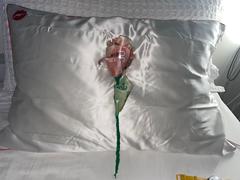 Blissy Pillowcase - Marilyn Monroe™ - Queen Review