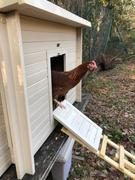 ideas4pets Cotswold Chicken Coop - Recycled Plastic Easy Clean Review