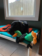 Thumbnail from Featured Video from a Customer Review. Due to the this photo being dynamically generated, we are unable to provide a summary of its contents at this time.