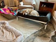 Photo from Customer Review. Due to the this photo being dynamically generated, we are unable to provide a summary of its contents at this time.