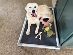 Photo from Customer Review. Due to the this photo being dynamically generated, we are unable to provide a summary of its contents at this time.