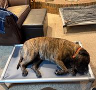 Photo from Customer Review. Due to the this photo being dynamically generated, we are unable to provide a summary of its contents at this time.