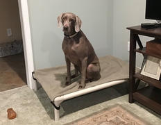 Photo from Customer Review. Due to the this photo being dynamically generated, we are unable to provide a summary of its contents at this time.