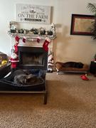 Photo from Customer Review. Due to the this photo being dynamically generated, we are unable to provide a summary of its contents at this time.