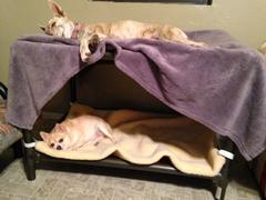 Photo from Customer Review. Due to the this photo being dynamically generated, we are unable to provide a summary of its contents at this time.