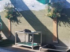 Photo from Customer Review. Due to the this photo being dynamically generated, we are unable to provide a summary of its contents at this time.