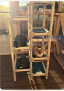 Photo from Customer Review. Due to the this photo being dynamically generated, we are unable to provide a summary of its contents at this time.