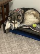 Photo from Customer Review. Due to the this photo being dynamically generated, we are unable to provide a summary of its contents at this time.
