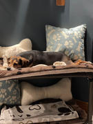 Photo from Customer Review. Due to the this photo being dynamically generated, we are unable to provide a summary of its contents at this time.