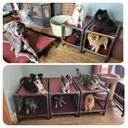 Photo from Customer Review. Due to the this photo being dynamically generated, we are unable to provide a summary of its contents at this time.