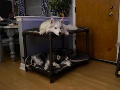 Photo from Customer Review. Due to the this photo being dynamically generated, we are unable to provide a summary of its contents at this time.