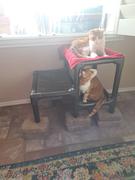 Photo from Customer Review. Due to the this photo being dynamically generated, we are unable to provide a summary of its contents at this time.
