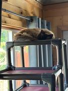 Photo from Customer Review. Due to the this photo being dynamically generated, we are unable to provide a summary of its contents at this time.
