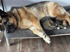 Photo from Customer Review. Due to the this photo being dynamically generated, we are unable to provide a summary of its contents at this time.