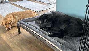 Photo from Customer Review. Due to the this photo being dynamically generated, we are unable to provide a summary of its contents at this time.