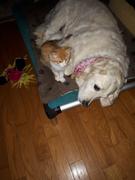 Photo from Customer Review. Due to the this photo being dynamically generated, we are unable to provide a summary of its contents at this time.