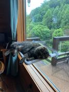 Photo from Customer Review. Due to the this photo being dynamically generated, we are unable to provide a summary of its contents at this time.
