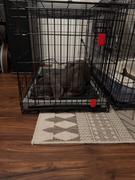 Photo from Customer Review. Due to the this photo being dynamically generated, we are unable to provide a summary of its contents at this time.