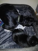 Photo from Customer Review. Due to the this photo being dynamically generated, we are unable to provide a summary of its contents at this time.