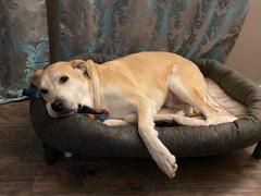 Photo from Customer Review. Due to the this photo being dynamically generated, we are unable to provide a summary of its contents at this time.