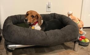 Photo from Customer Review. Due to the this photo being dynamically generated, we are unable to provide a summary of its contents at this time.