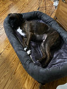 Photo from Customer Review. Due to the this photo being dynamically generated, we are unable to provide a summary of its contents at this time.