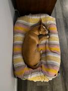 Photo from Customer Review. Due to the this photo being dynamically generated, we are unable to provide a summary of its contents at this time.