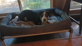 Photo from Customer Review. Due to the this photo being dynamically generated, we are unable to provide a summary of its contents at this time.