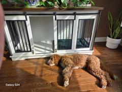 Photo from Customer Review. Due to the this photo being dynamically generated, we are unable to provide a summary of its contents at this time.