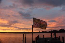 Route One Apparel Crabby Susan Maryland / Flag Review